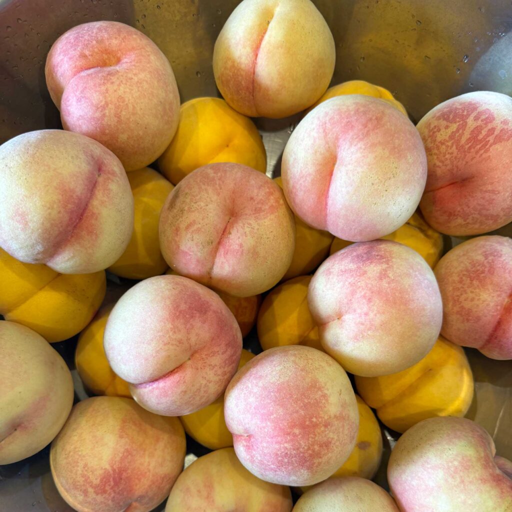 桃で酢を作ろう！