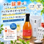 熱中症グッズアイテム必須塩と林檎酢　ロジュソルト