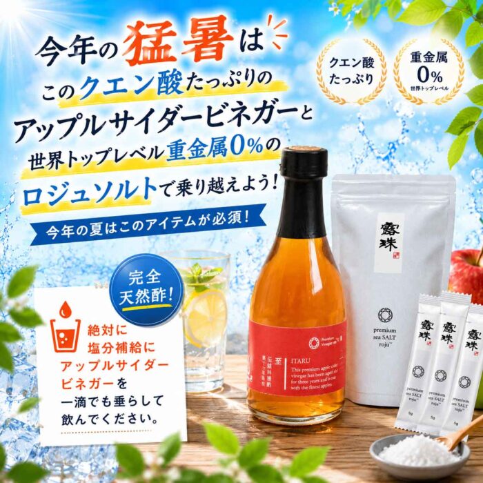 熱中症グッズアイテム必須塩と林檎酢　ロジュソルト