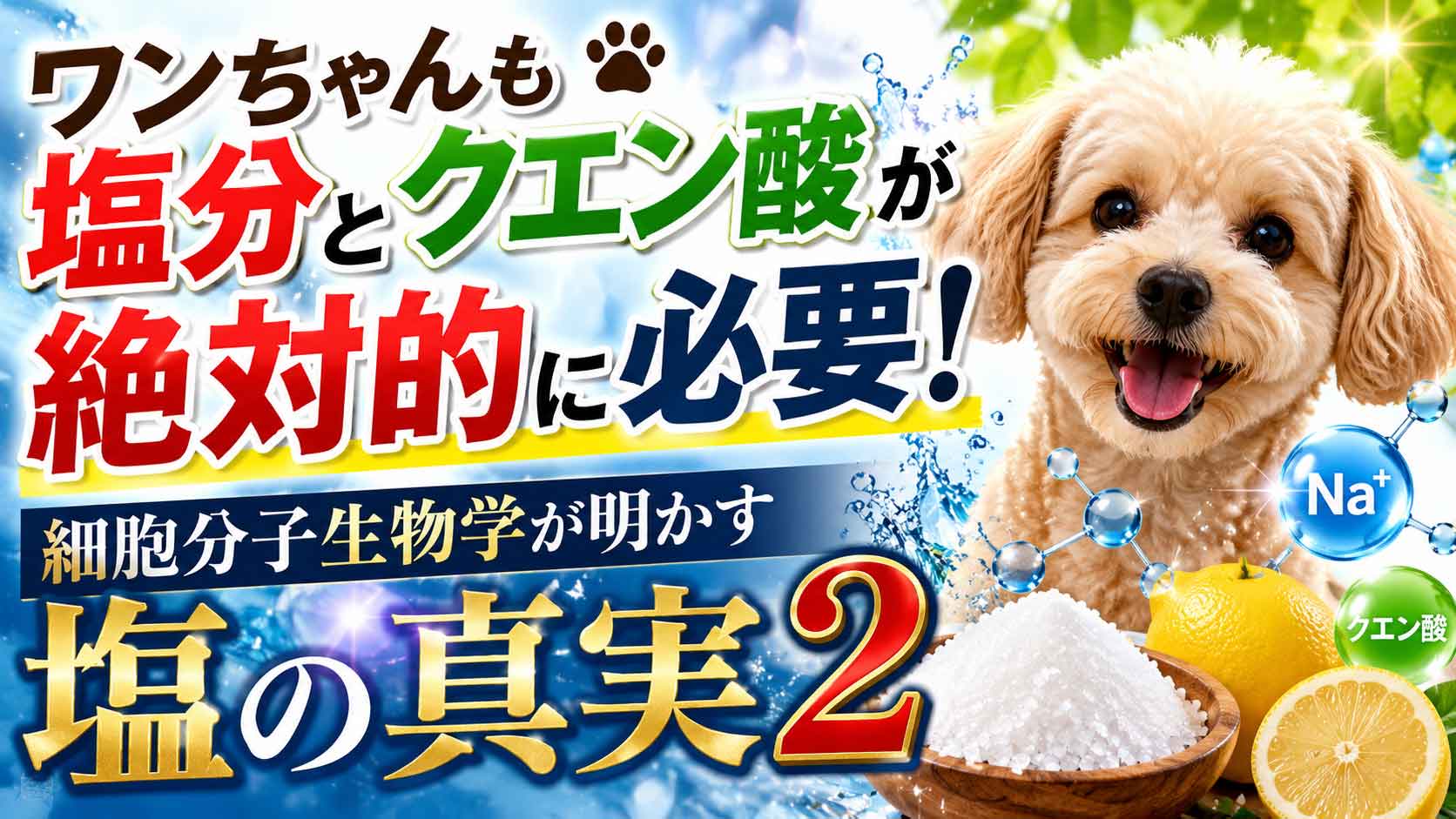 ワンちゃんにも塩分が必要！