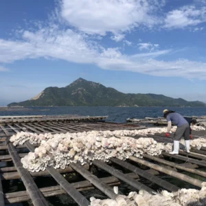 100%牡蠣と塩だけ!ピュアオイスターソース「広島県」牡蠣醤、発酵熟成調味料 - 画像 (3)