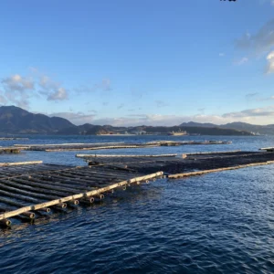 100%牡蠣と塩だけ!ピュアオイスターソース「広島県」牡蠣醤、発酵熟成調味料 - 画像 (5)