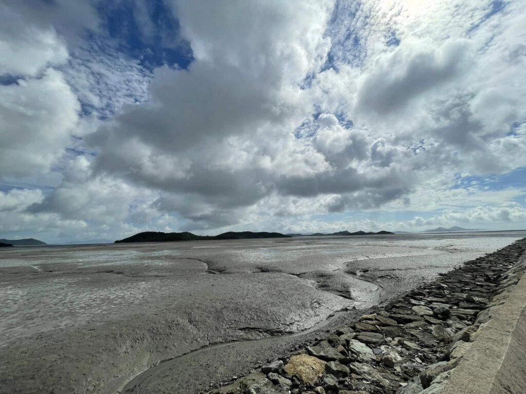 ロジュソルトは世界３大干潟 都草島で作られている極上非加熱干潟熟成塩です。