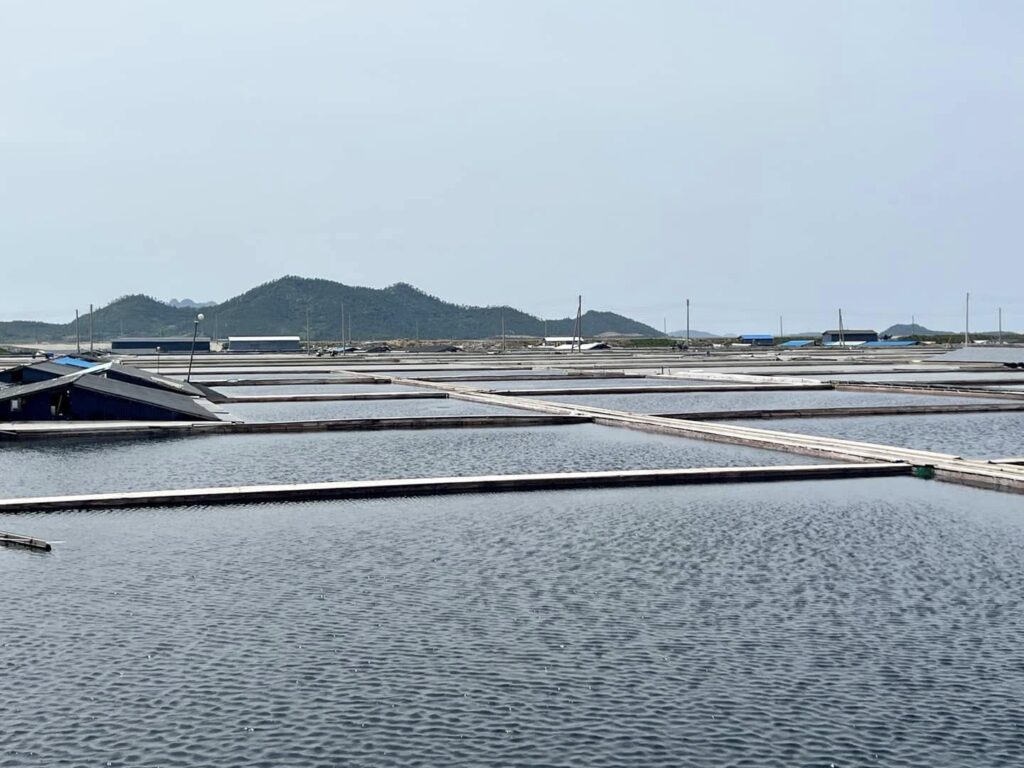 ロジュソルトは世界３大干潟 都草島で作られている極上非加熱干潟熟成塩です。都草島の塩田