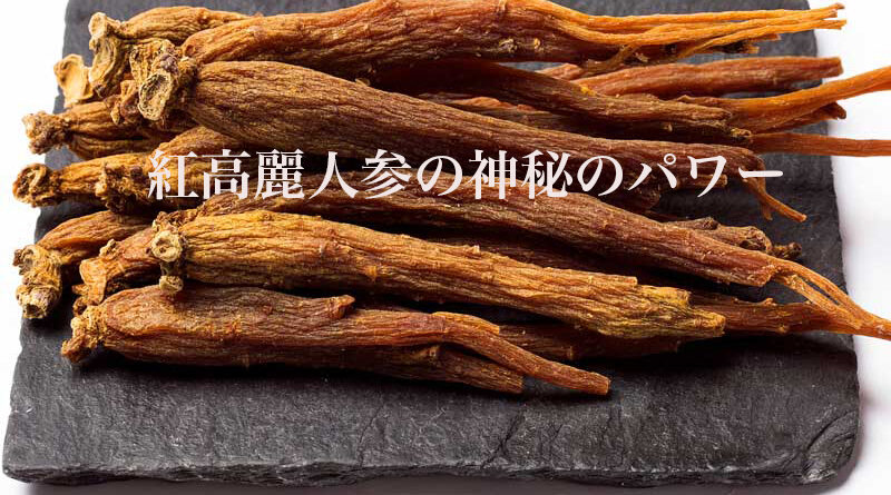 紅高麗人参のすごいパワー