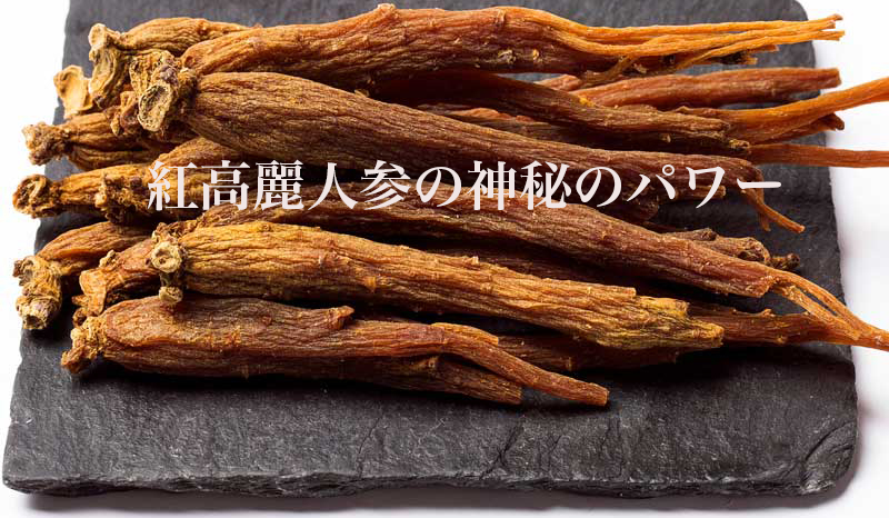 紅高麗人参のすごいパワー