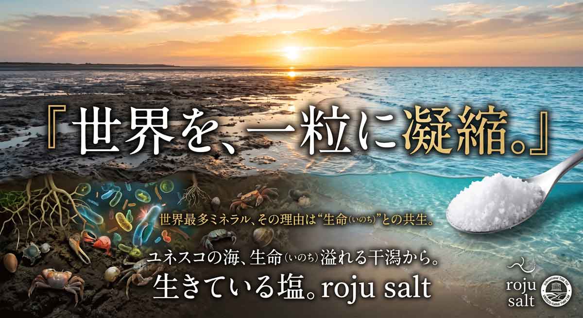 ロジュソルト 重金属0 不純物ない綺麗な熟成天日塩 sksコーシャ認定塩 離乳食に最高の塩 干潟の秘密 塩田 ロジュソルト塩は世界トップ