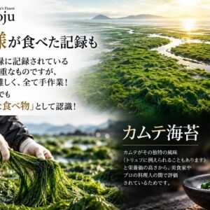 非加熱 5年熟成 天日塩 プレミアム スティック塩 「カムテ海苔」(75g) - 画像 (7)